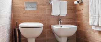 Стоит ли совмещать ванную и санузел?