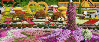 Выбираем развлечения в Dubai Miracle Garden