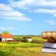 Какие документы необходимо подготовить владельцу участка для защиты своих имущественных прав в суде